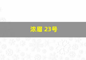 浓眉 23号